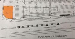 RENTA TERRENO COMERCIAL EN GUADALUPE PLAZA ABASTOS