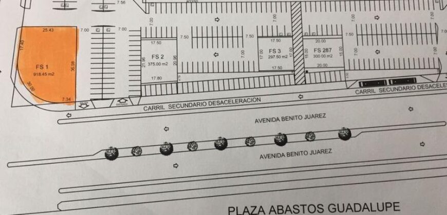 RENTA TERRENO COMERCIAL EN GUADALUPE PLAZA ABASTOS