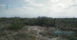 Terreno en Renta en Pesqueria Nuevo Leon