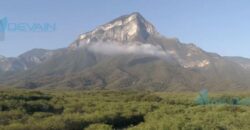 Terreno – Valle de Hidalgo