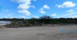 Terreno – Valle de Hidalgo